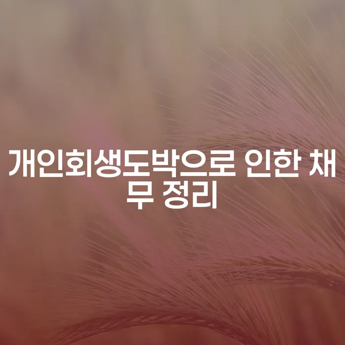 개인회생법무사 빚 해결할 가능한지