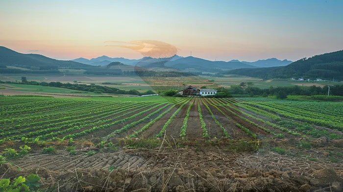 개인회생 법무사 비용 싸고