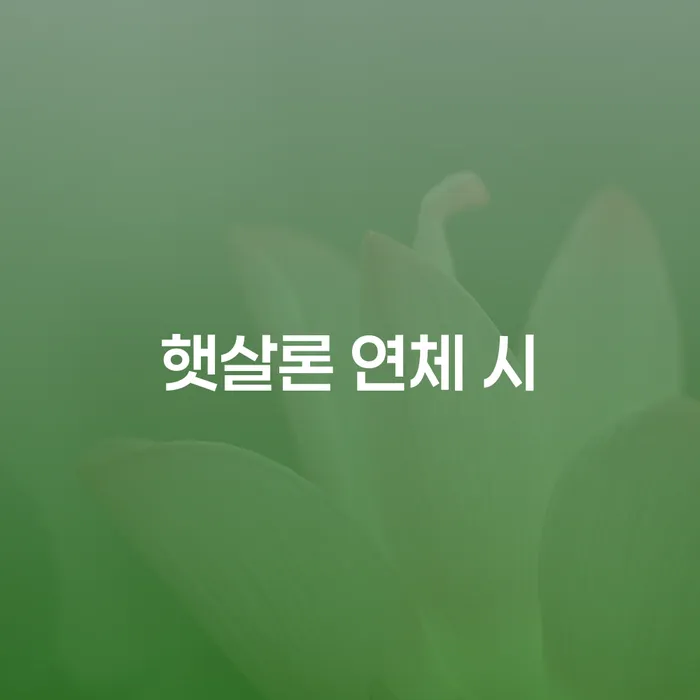 횡성군 개인회생전문변호사 연체 채무 신속해결방법 전화상담