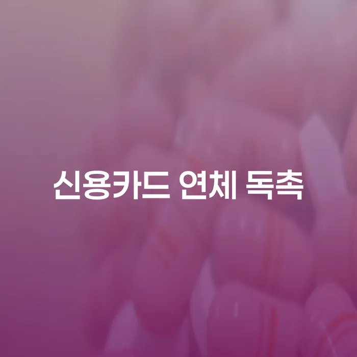 신용카드 연체 독촉에 대처하는 현명한 방법은?