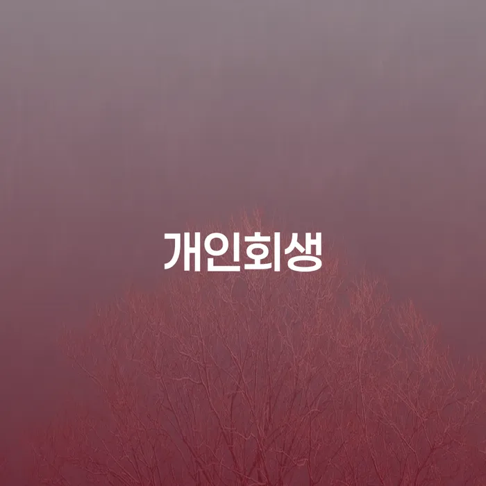 잠실본동 개인회생을 통한 채무 해결의 길